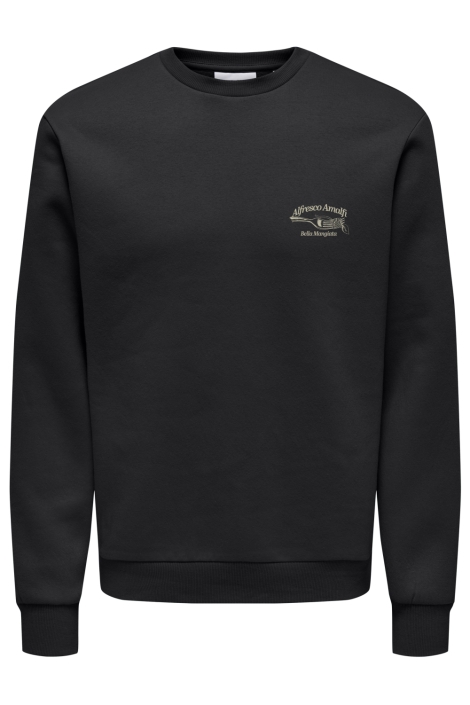 Only & Sons onsalfresco reg crew neck